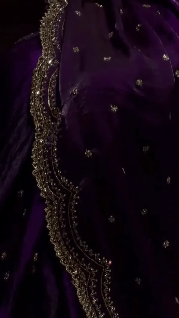 Pop_Purple_Cutdana_Sequence_Zari_Work_Saree