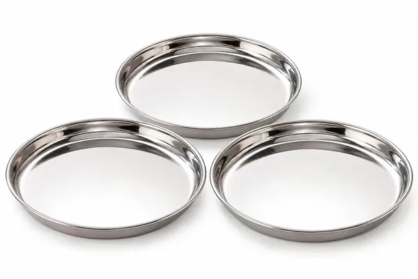 Stainless_Steel_Dinner_Plate