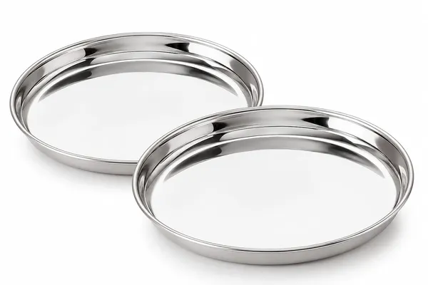 Stainless_Steel_Dinner_Plate