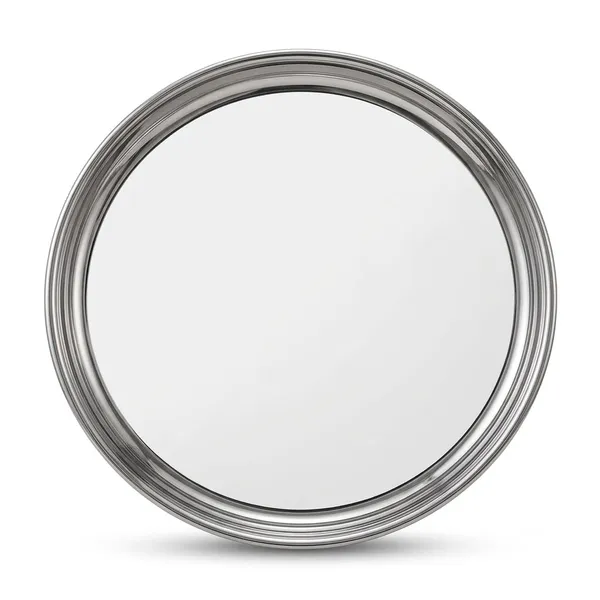 Stainless_Steel_Dinner_Plate