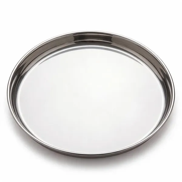 Stainless_Steel_Dinner_Plate