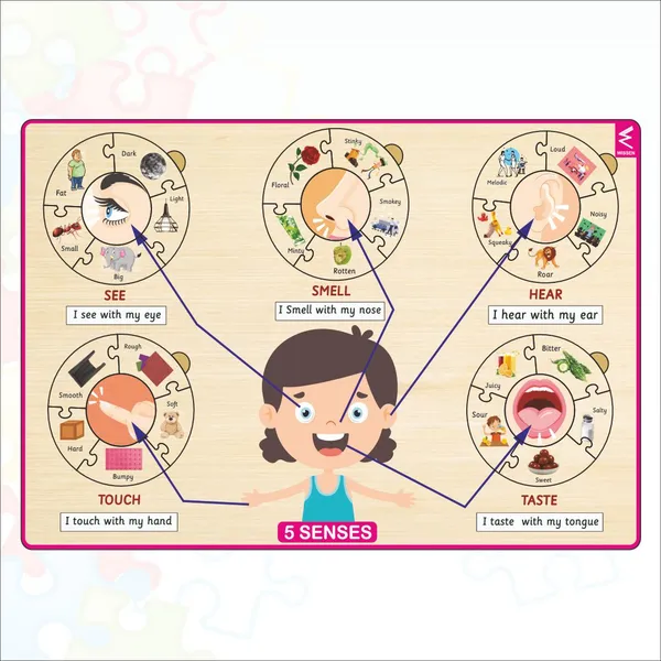 Wodoen_Five_Senses_Learning_Puzzle_-_12*18_inch_for_kids