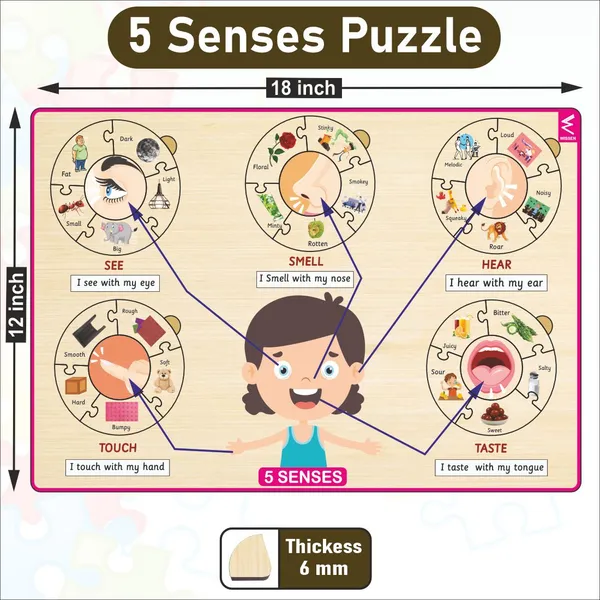 Wodoen_Five_Senses_Learning_Puzzle_-_12*18_inch_for_kids