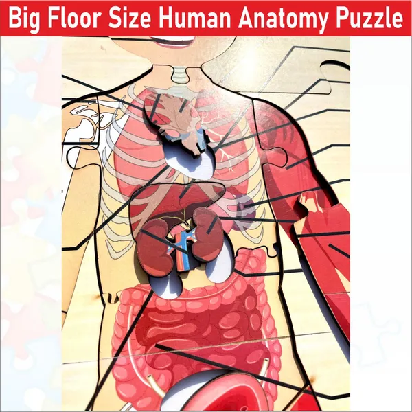 Wooden_Big_Floorhuman_Anatomy_Puzzle