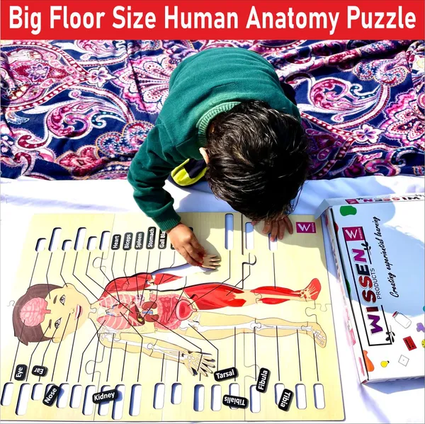 Wooden_Big_Floorhuman_Anatomy_Puzzle