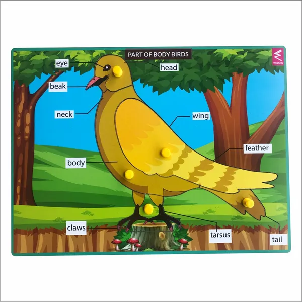 Wooden_Birds_Parts_Peg_Board_Puzzle