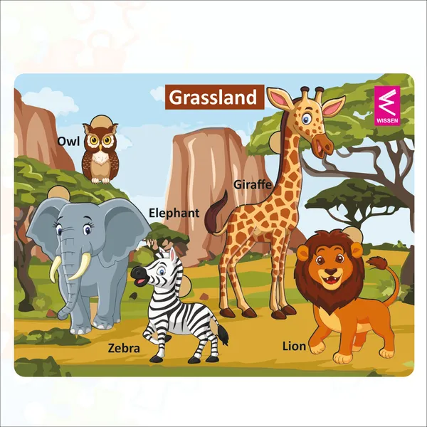 Wooden_Grassland_Habitat_Learning_Puzzle_board_game_for_kids