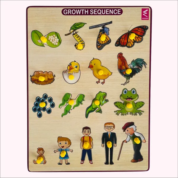 Wooden_Growth_Sequence_peg_board_puzzle_game-12*9_inch_for_kids
