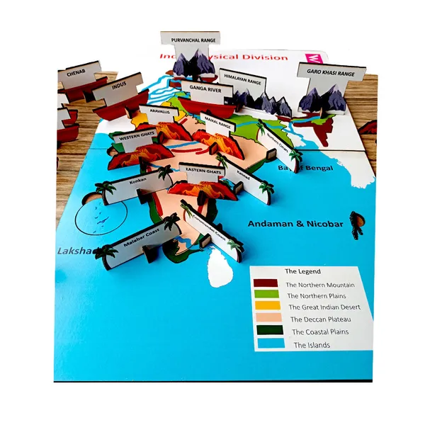 Wooden_India_Physical_Division_Activity_Game