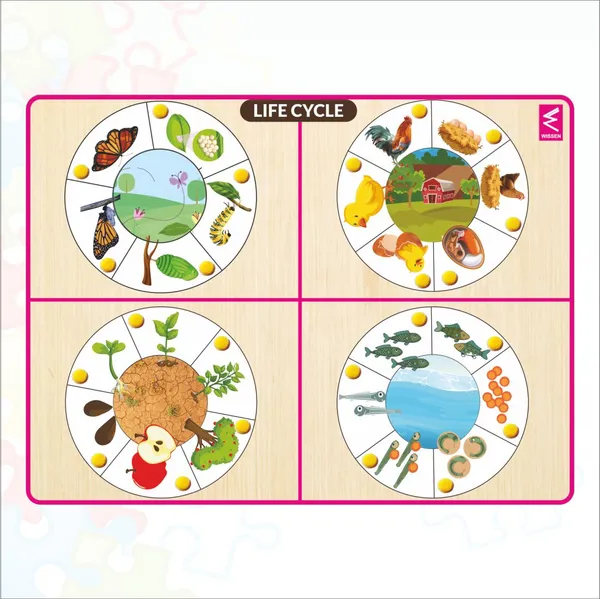 Wooden_Life_Cycle_Inside_Peg_Board_Puzzle_-12*9_inch
