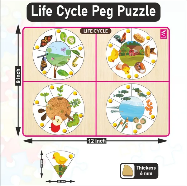 Wooden_Life_Cycle_Inside_Peg_Board_Puzzle_-12*9_inch