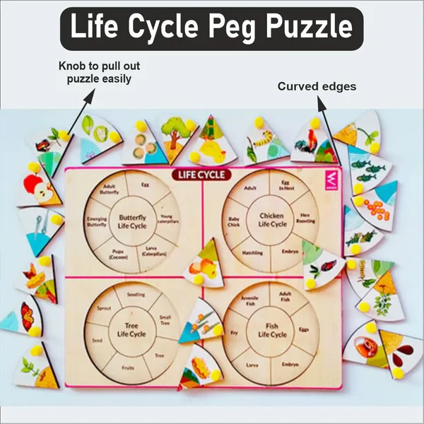 Wooden_Life_Cycle_Inside_Peg_Board_Puzzle_-12*9_inch