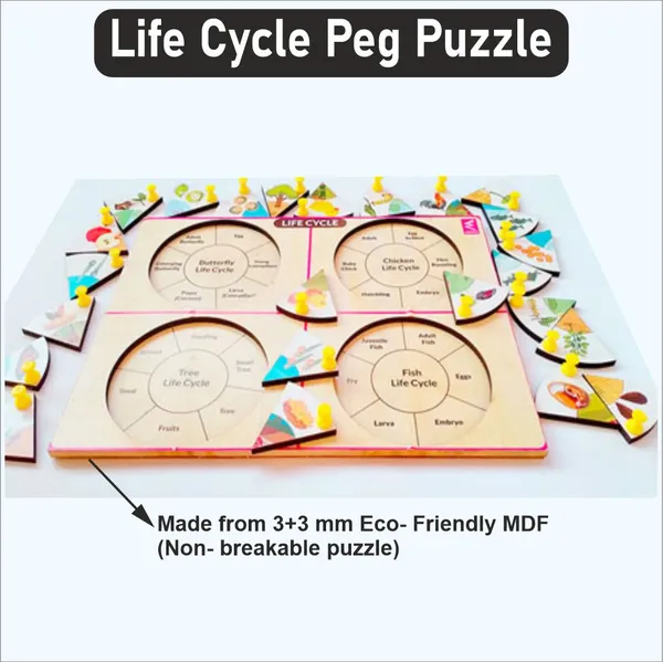 Wooden_Life_Cycle_Inside_Peg_Board_Puzzle_-12*9_inch