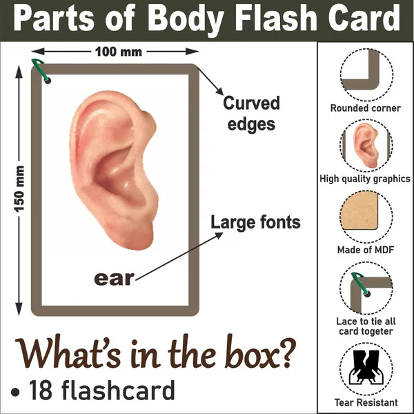 Wooden_(MDF)_Parts_of_Body_Learning_Flash_card_with_lacing_thread.