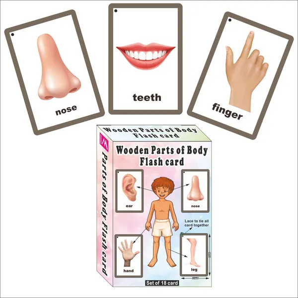 Wooden_(MDF)_Parts_of_Body_Learning_Flash_card_with_lacing_thread.