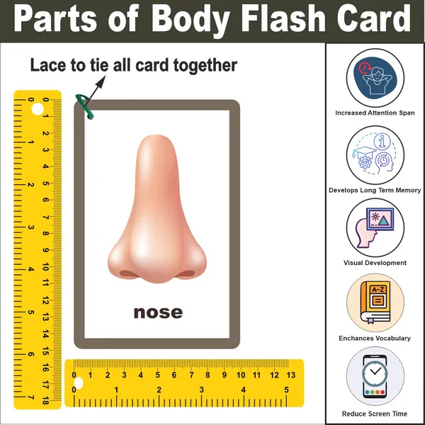 Wooden_(MDF)_Parts_of_Body_Learning_Flash_card_with_lacing_thread.