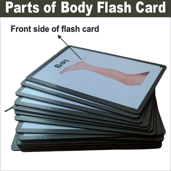 Wooden_(Mdf)_Parts_Of_Body_Learning_Flash_Card_With_Lacing_Thread.