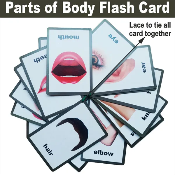 Wooden_(Mdf)_Parts_Of_Body_Learning_Flash_Card_With_Lacing_Thread.