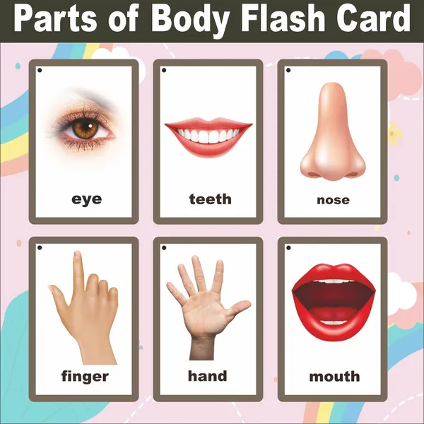 Wooden_(Mdf)_Parts_Of_Body_Learning_Flash_Card_With_Lacing_Thread.
