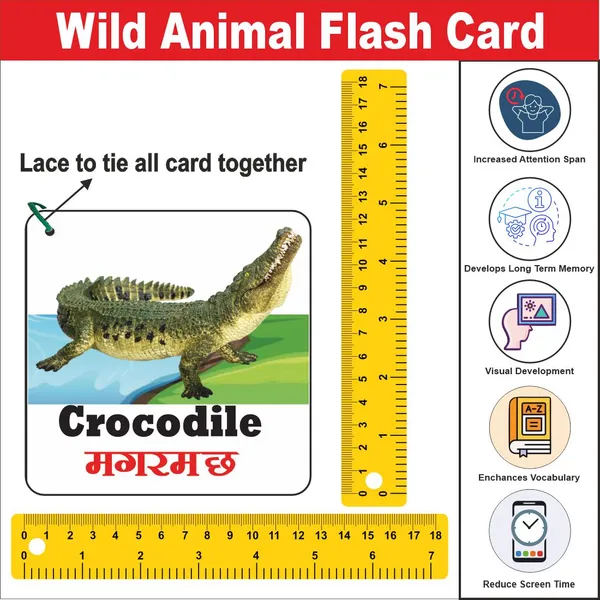 Wooden_(MDF)_Wild_Animals__Learning_Flash_card_with_lacing_thread.