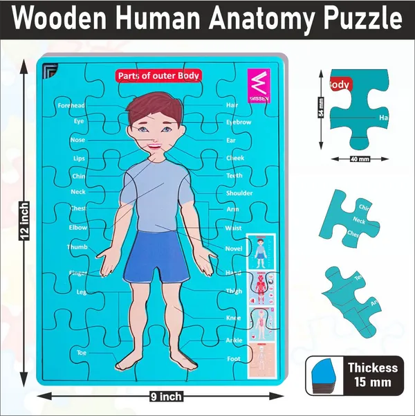 Wooden_Multilayer_Human_Anatomy_Puzzle_For_kids-_12*9_inch