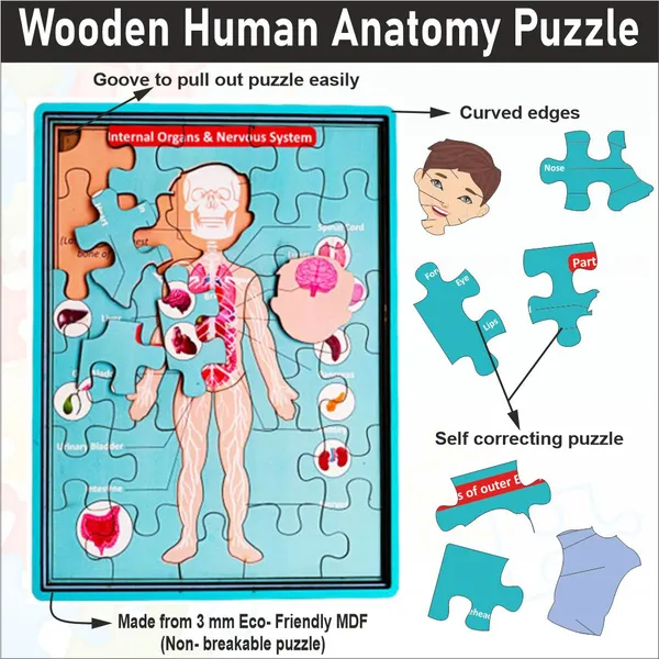 Wooden_Multilayer_Human_Anatomy_Puzzle_For_kids-_12*9_inch