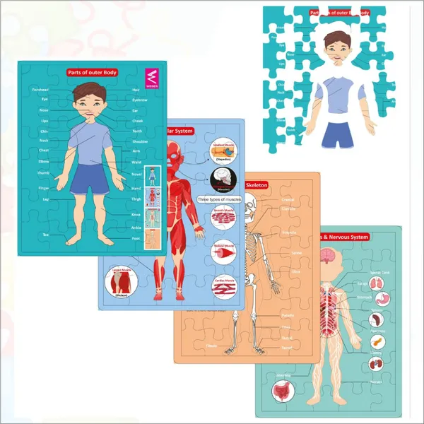 Wooden_Multilayer_Human_Anatomy_Puzzle_For_kids-_12*9_inch