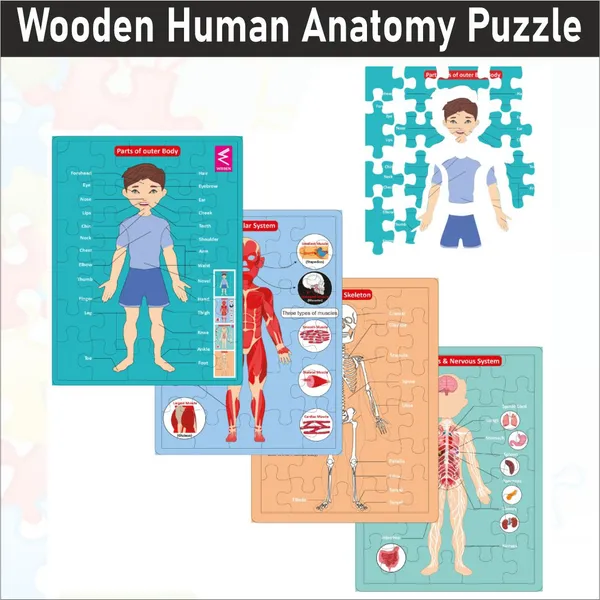 Wooden_Multilayer_Human_Anatomy_Puzzle_For_kids-_12*9_inch