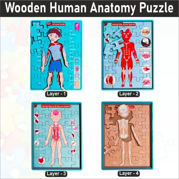 Wooden_Multilayer_Human_Anatomy_Puzzle_For_Kids
