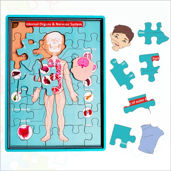 Wooden_Multilayer_Human_Anatomy_Puzzle_For_Kids