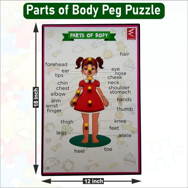 Wooden_Parts_of_Body_(Girl)_Educational_peg_board_puzzle-_12*18_inch
