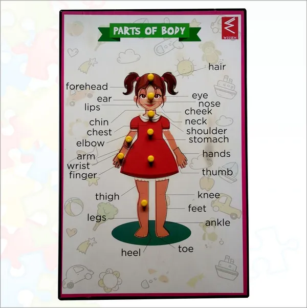 Wooden_Parts_of_Body_(Girl)_Educational_peg_board_puzzle-_12*9_inch