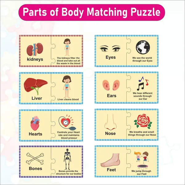 Wooden_Parts_of_Body_Self_Correcting_Matching_Puzzle_for_kids