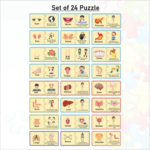 Wooden_Parts_of_Body_Self_Correcting_Matching_Puzzle_for_kids