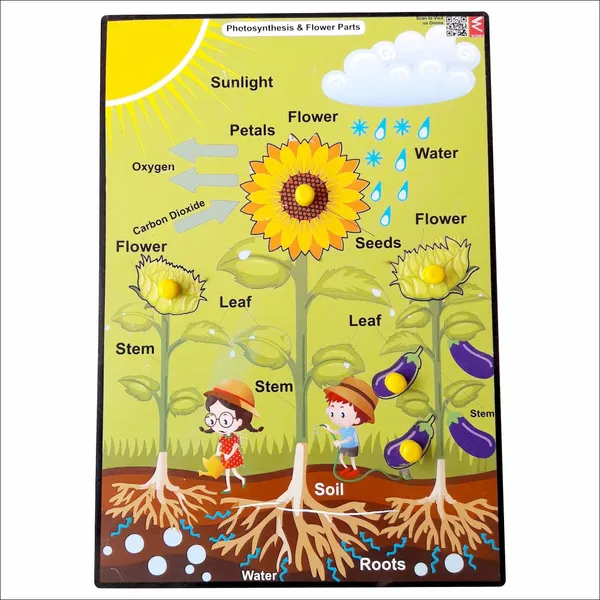 Wooden_Photosynthesis_Peg_Board_Puzzle-_12*18_inch