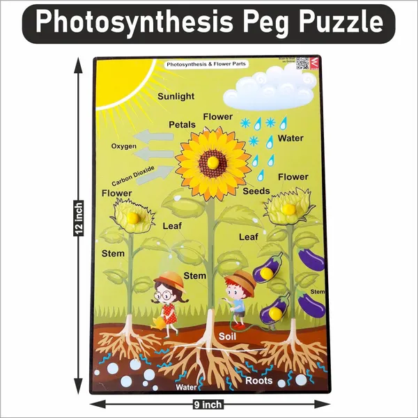 Wooden_Photosynthesis_Peg_Board_Puzzle-_12*18_inch