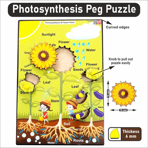 Multicolor_Wood_Photosynthesis_Peg_Board_Puzzle_For_Kids