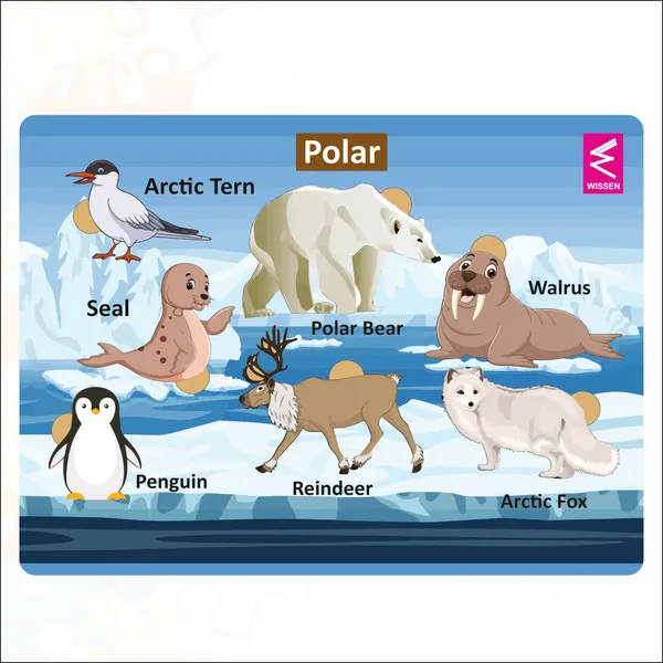 Wooden_Polar_Habitat_Learning_Puzzle_board_game_for_kids