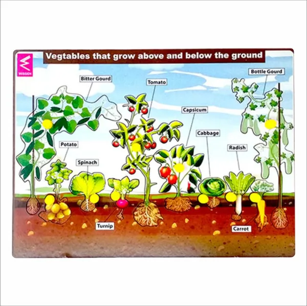 Wooden_Vegetable_above_and_below_ground_Peg_board_puzzle-_12*9_inch
