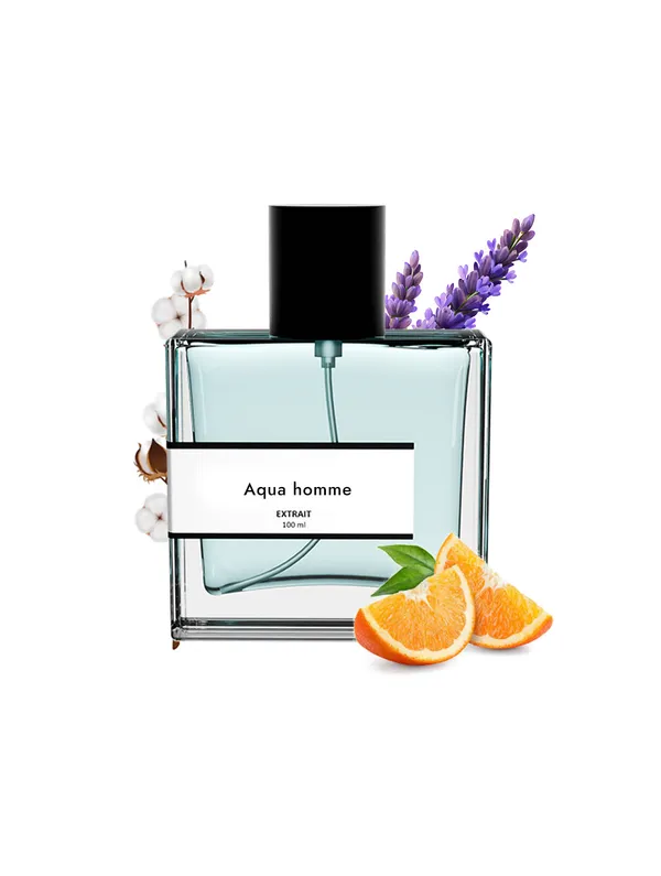 Aqua_Homme_Compare_With_Bvlg_R_Qu_Pour_Homme