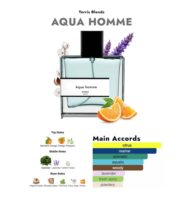 Aqua_Homme_Compare_With_Bvlg_R_Qu_Pour_Homme