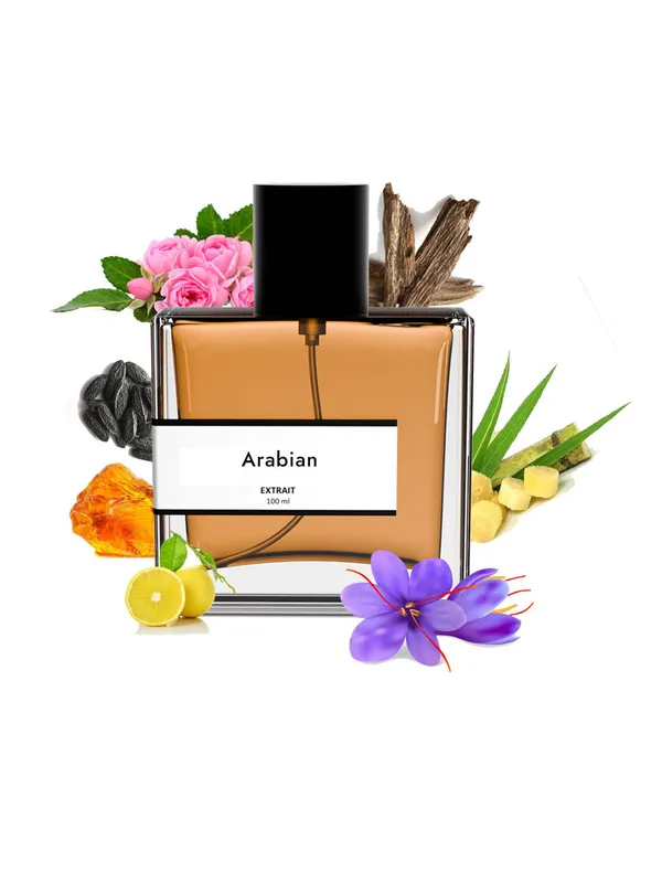 Arabian_Compare_With_M0nt_Le_Arabi_N_T0nk