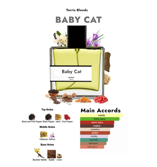 Baby_Cat_Compare_With_Y_L_Baby_Cat