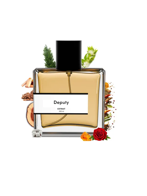 Deputy_Compare_With_T_M_Dao_Diptique