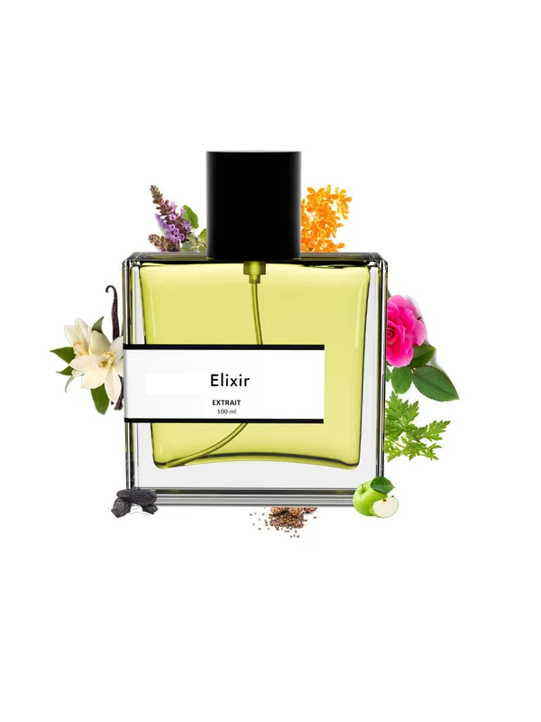 Elixir_Compare_With_Pac0_Rabanne_One_Million_Elixir