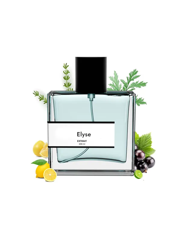 Elyse_Compare_With_R0ja_Parfums_Elysium