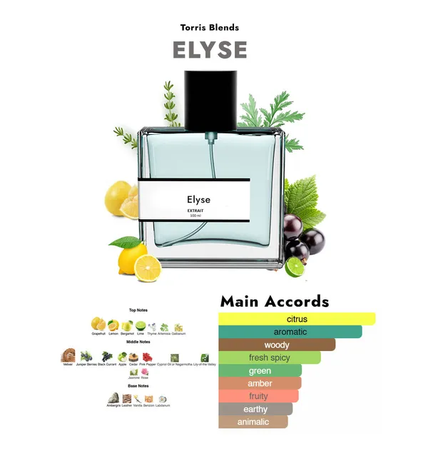 Elyse_Compare_With_R0ja_Parfums_Elysium