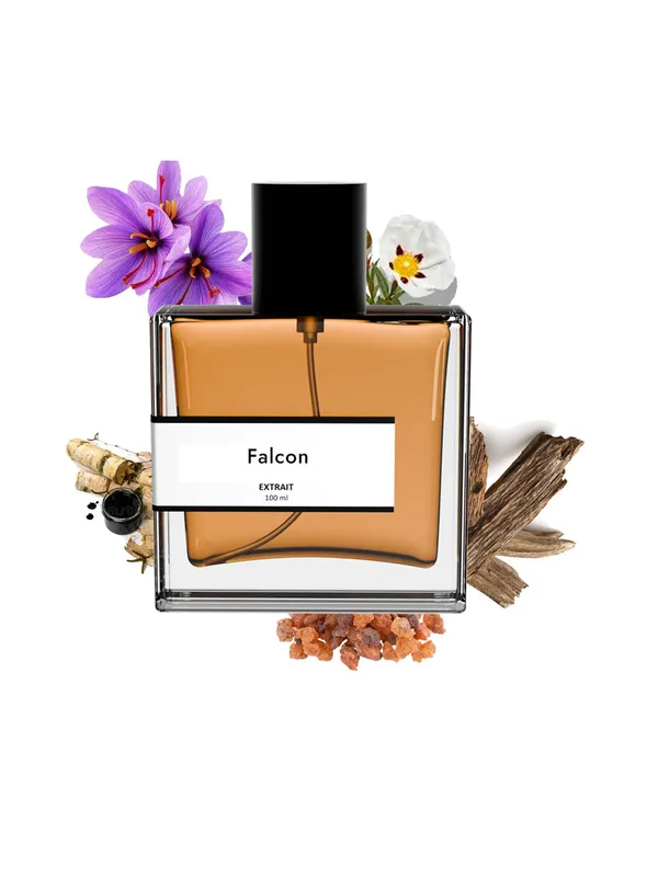 Falcon_Compare_With_Falcon_Leather_M_Tiere_Premiere