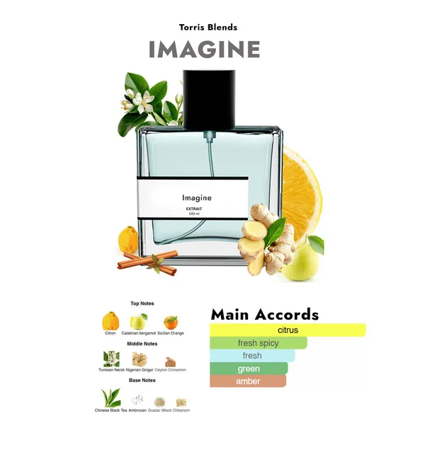 Imagine_Compare_With_Loui_Vuitt0n_Imagination
