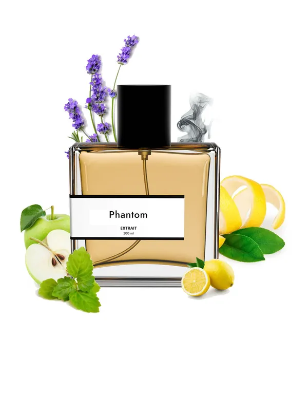 Phantom_Compare_With_P_Co_Rab_Nne_Phantom